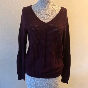 The Limited  Wool Blend V-Neck Sweater